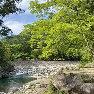 もみじの里松原オートキャンプ場の川沿いの木々と広場