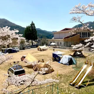 桜の季節のキャンプサイト全景(高台から)