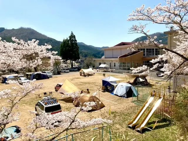 桜の季節のキャンプサイト全景（高台から）