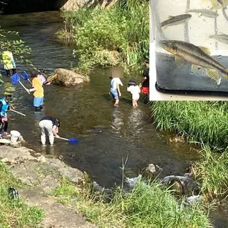 川遊びと魚とりの様子、とれた川魚